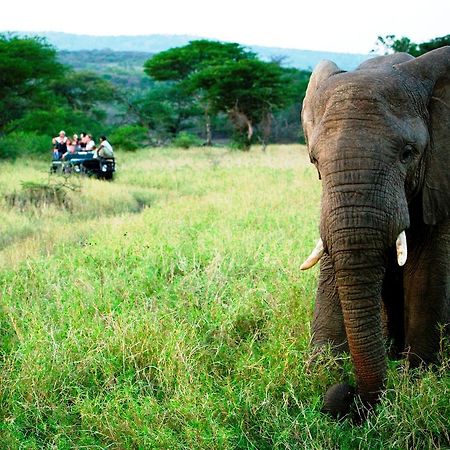 Thula Thula Exclusive Private Game Reserve & Lodge Ntambanana Exteriér fotografie