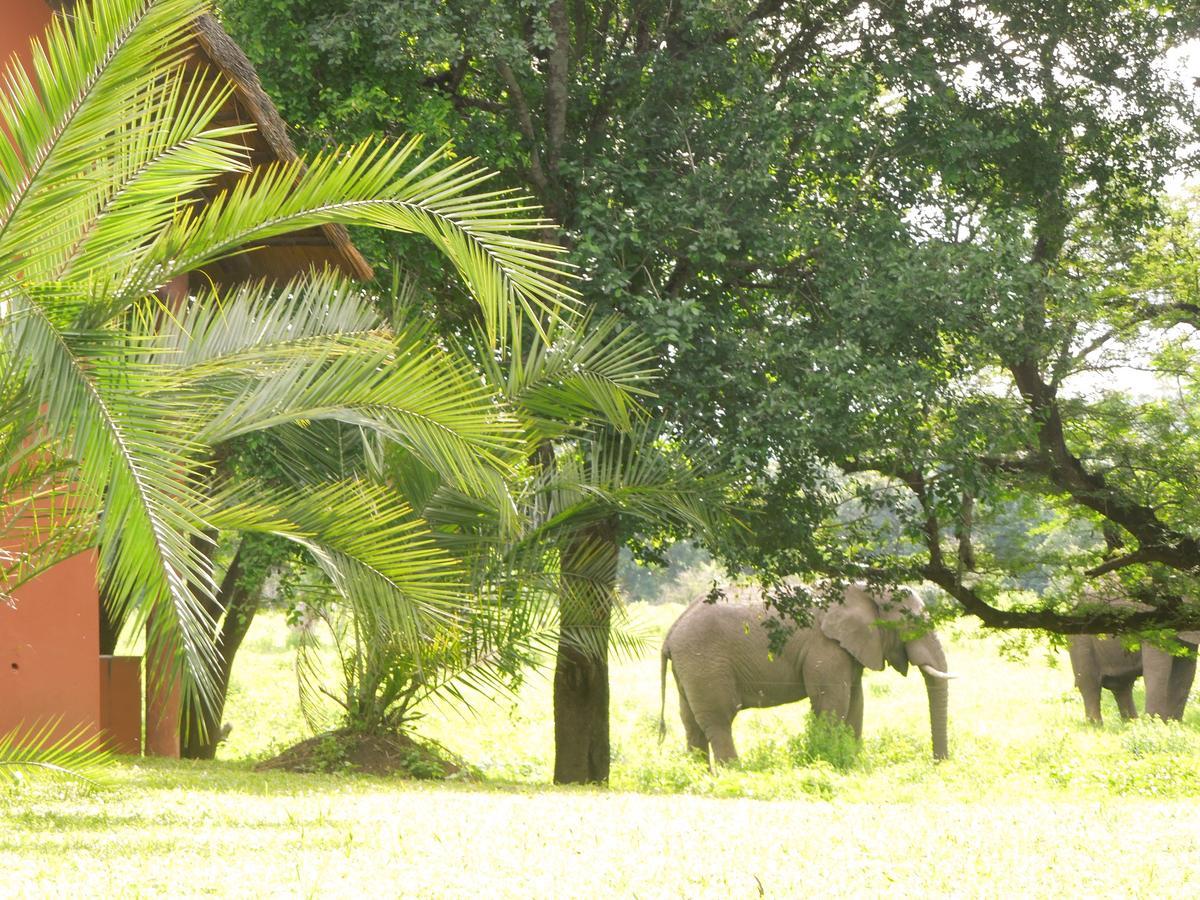 Thula Thula Exclusive Private Game Reserve & Lodge Ntambanana Exteriér fotografie