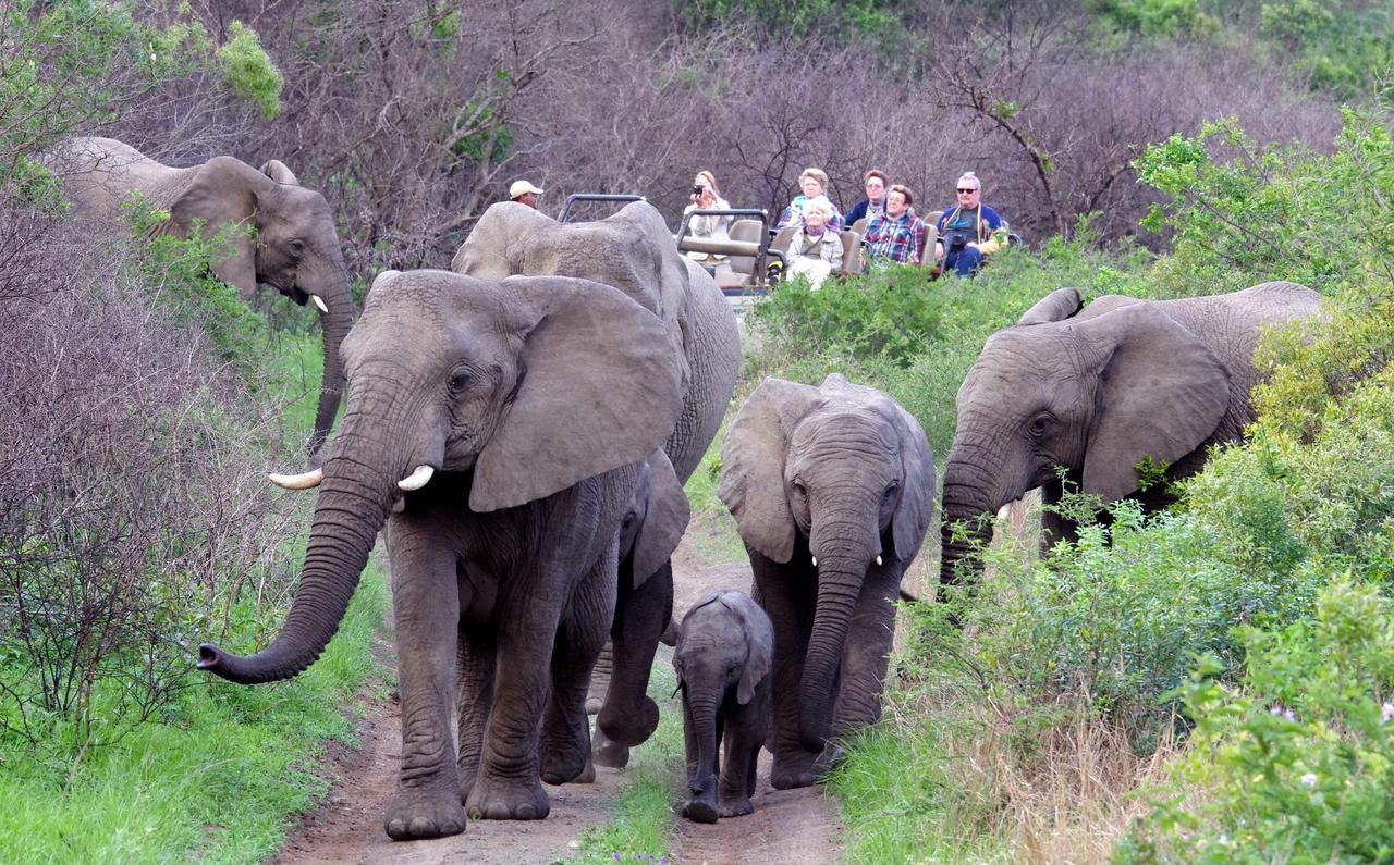 Thula Thula Exclusive Private Game Reserve & Lodge Ntambanana Exteriér fotografie