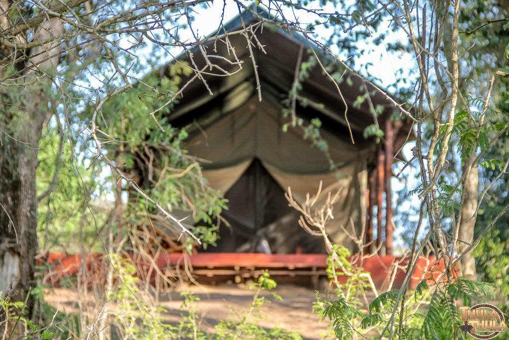 Thula Thula Exclusive Private Game Reserve & Lodge Ntambanana Exteriér fotografie